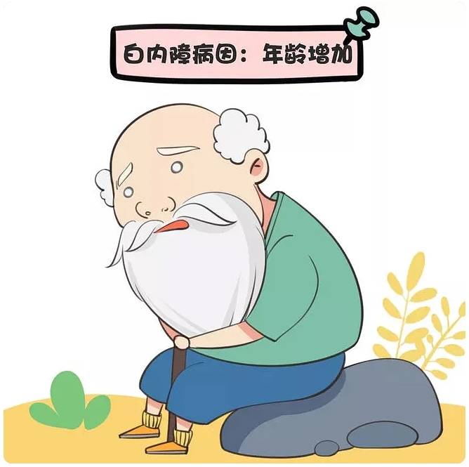 文章配图-1